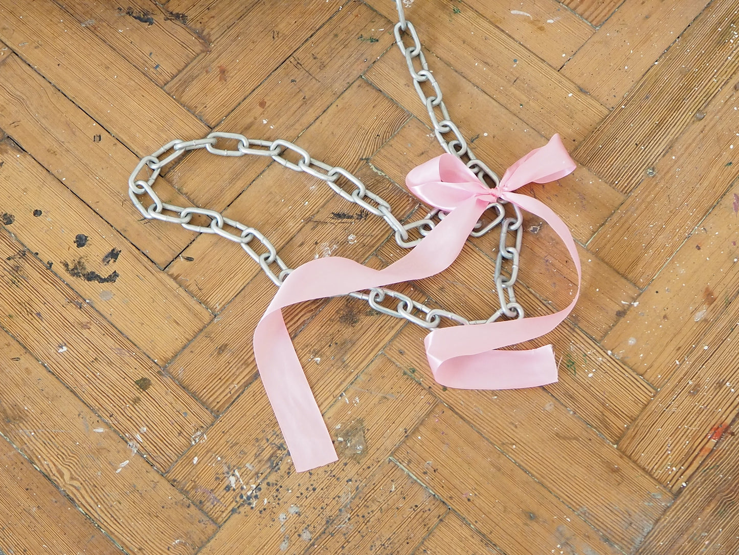 Animal Leash
